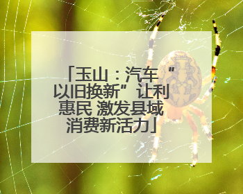 玉山：汽车“以旧换新”让利惠民 激发县域消费新活力