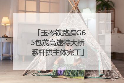 玉岑铁路跨G65包茂高速特大桥系杆拱主体完工