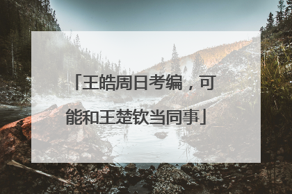 王皓周日考编，可能和王楚钦当同事