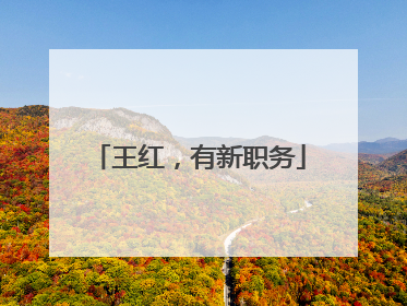 王红，有新职务