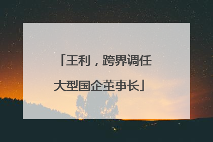 王利，跨界调任大型国企董事长