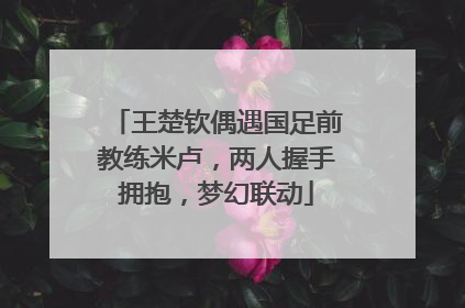 王楚钦偶遇国足前教练米卢，两人握手拥抱，梦幻联动
