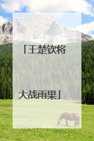 王楚钦将大战雨果