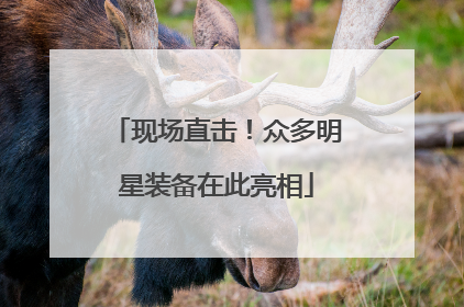 现场直击！众多明星装备在此亮相