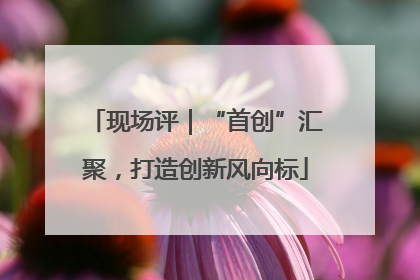 现场评｜“首创”汇聚，打造创新风向标