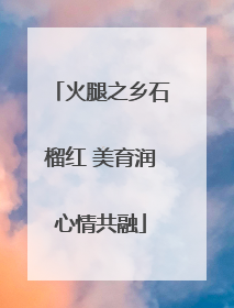 火腿之乡石榴红 美育润心情共融