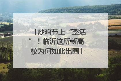 炒鸡节上“整活”！临沂这所新高校为何如此出圈