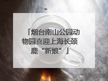 烟台南山公园动物园喜迎上海长颈鹿“新娘”