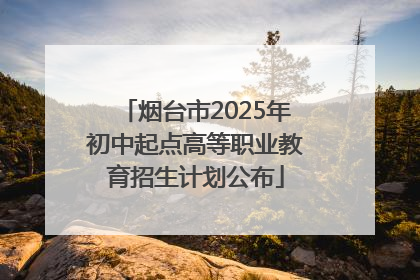 烟台市2025年初中起点高等职业教育招生计划公布