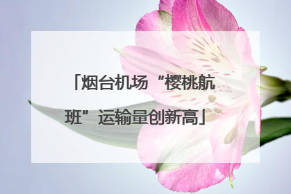 烟台机场“樱桃航班”运输量创新高