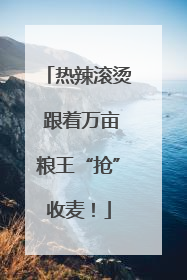 热辣滚烫 跟着万亩粮王“抢”收麦！