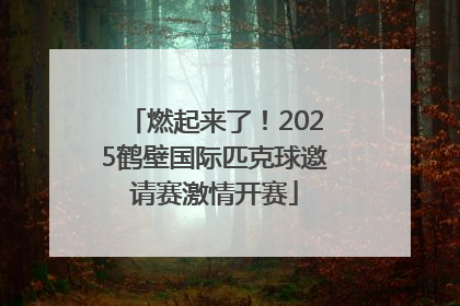 燃起来了！2025鹤壁国际匹克球邀请赛激情开赛