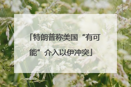 特朗普称美国“有可能”介入以伊冲突