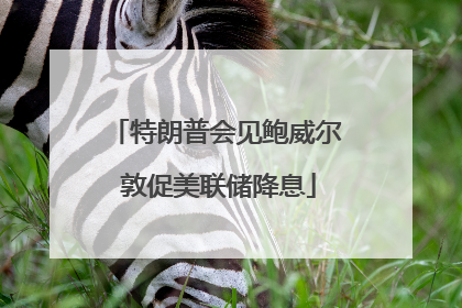 特朗普会见鲍威尔 敦促美联储降息