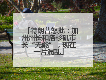 特朗普怒批：加州州长和洛杉矶市长“无能”，现在一片混乱