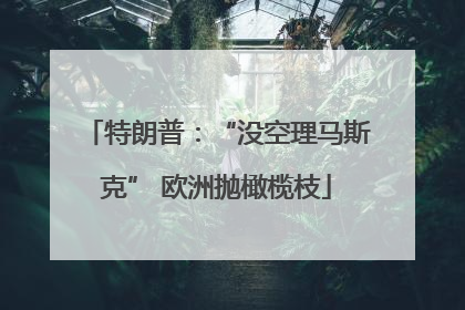 特朗普：“没空理马斯克” 欧洲抛橄榄枝
