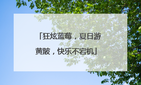 狂炫蓝莓，夏日游黄陂，快乐不宕机