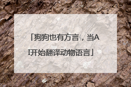 狗狗也有方言，当AI开始翻译动物语言