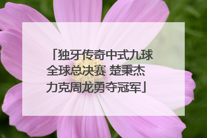独牙传奇中式九球全球总决赛 楚秉杰力克周龙勇夺冠军