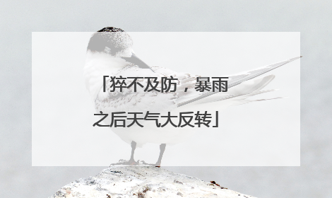 猝不及防，暴雨之后天气大反转