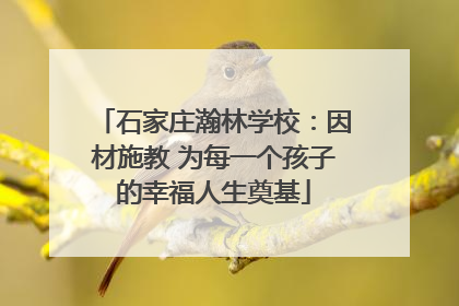 石家庄瀚林学校：因材施教 为每一个孩子的幸福人生奠基