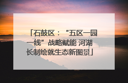 石鼓区：“五区一园一线”战略赋能 河湖长制绘就生态新图景
