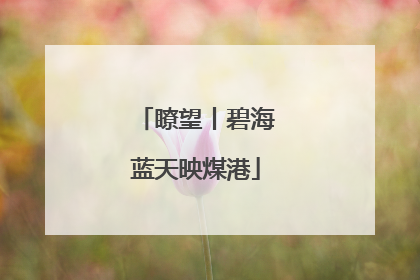 瞭望丨碧海蓝天映煤港