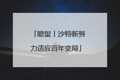 瞭望丨沙特新努力适应百年变局