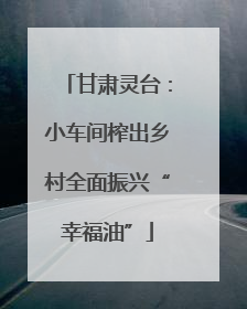 甘肃灵台：小车间榨出乡村全面振兴“幸福油”