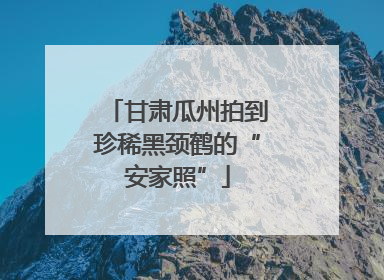甘肃瓜州拍到珍稀黑颈鹤的“安家照”