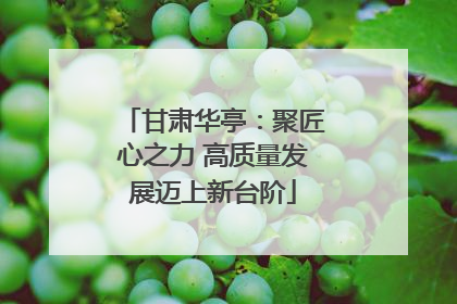 甘肃华亭：聚匠心之力 高质量发展迈上新台阶