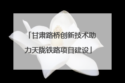 甘肃路桥创新技术助力天陇铁路项目建设