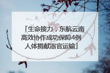 生命接力，东航云南高效协作成功保障4例人体捐献器官运输