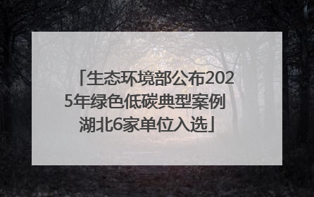 生态环境部公布2025年绿色低碳典型案例 湖北6家单位入选