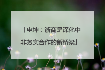 申坤：浙商是深化中非务实合作的新桥梁