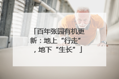 百年张园有机更新：地上“行走”，地下“生长”