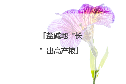 盐碱地“长”出高产粮