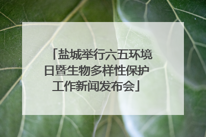 盐城举行六五环境日暨生物多样性保护工作新闻发布会