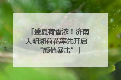 盛夏荷香浓！济南大明湖荷花率先开启“颜值暴击”