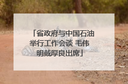 省政府与中国石油举行工作会谈 毛伟明戴厚良出席