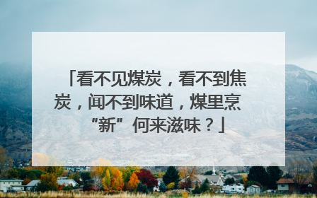 看不见煤炭，看不到焦炭，闻不到味道，煤里烹“新”何来滋味？