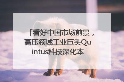 看好中国市场前景，高压领域工业巨头Quintus科技深化本土策略，构建全方位服务亚太区总部