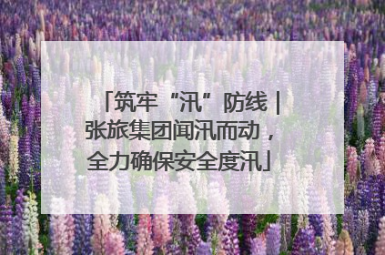 筑牢“汛”防线｜张旅集团闻汛而动，全力确保安全度汛