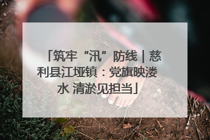 筑牢“汛”防线｜慈利县江垭镇：党旗映溇水 清淤见担当