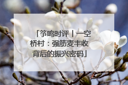 筝鸣时评丨一空桥村：强筋麦丰收背后的振兴密码
