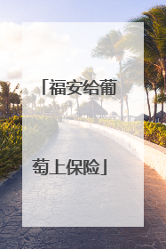 福安给葡萄上保险