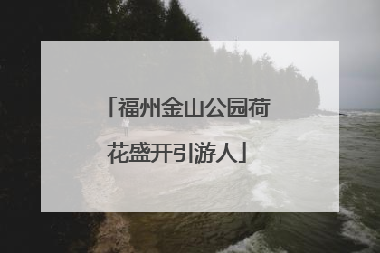 福州金山公园荷花盛开引游人