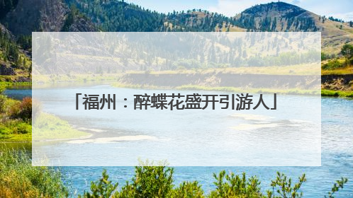 福州：醉蝶花盛开引游人