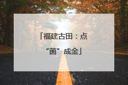 福建古田：点“菌”成金