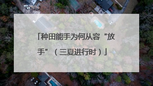 种田能手为何从容“放手”（三夏进行时）